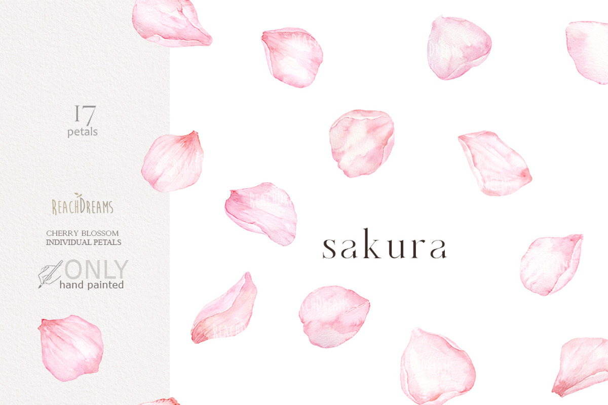 Blossoms Sakura Collection, a Decorative Illustration by ReachDreams (Photo 6 of 7)