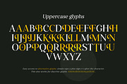 Retro Voice – Variable Serif Font, a Serif Font by Blessed Print (Thumbnail 24 of 29)