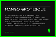 Mango Grotesque, a Sans Serif Font by Studio DC (Thumbnail 2 of 10)