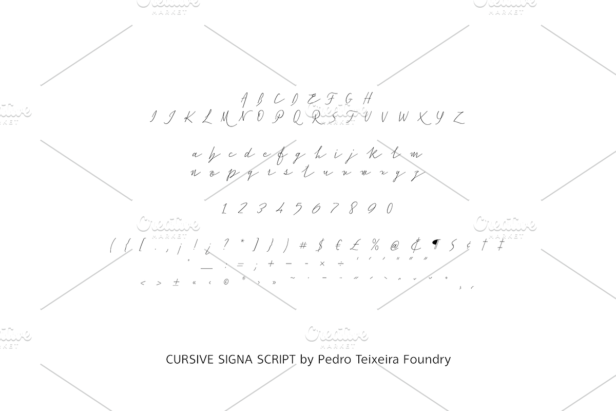 50%Off - Huge Script Family, a Script Font by vectalex (Photo 8 of 9)