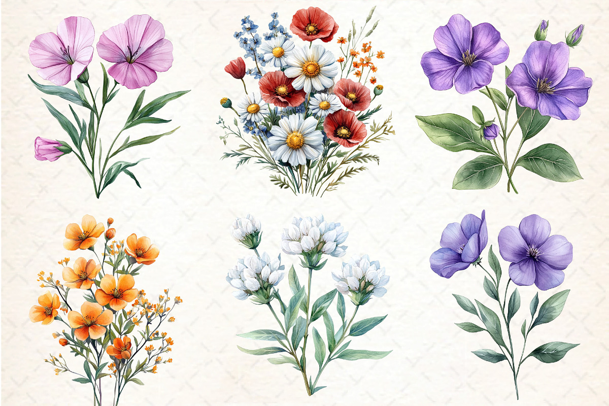 Wild Flowers Watercolor Clipart PNG, an Illustration by DreamCafeArt (Photo 2 of 7)