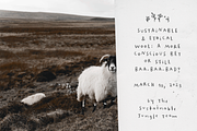 Wonky SVG Font And Extras, a Handwritten Font by Ana's Fonts (Thumbnail 5 of 13)
