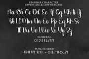 Sunday, a Handwritten Font by InermediaSTUDIO (Thumbnail 3 of 8)