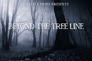 Hauntings Serif Font, a Serif Font by Beck McCormick (Thumbnail 2 of 10)