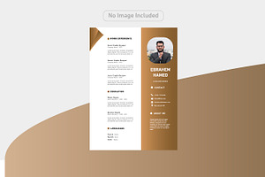 Luxury and simple CV