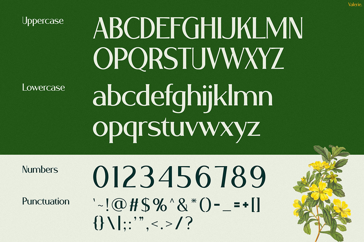 VALERIE, a Sans Serif Font by Pinisi ART (Photo 2 of 10)