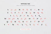 Distrela | Romantic Serif Font, a Serif Font by Ekahermawan (Thumbnail 11 of 15)
