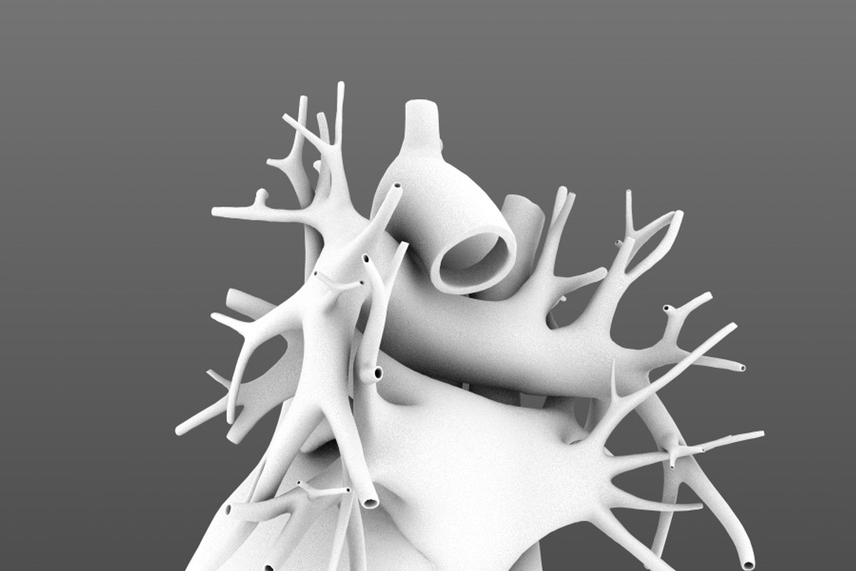 Human heart animated v3, a Characters & Person 3D Model by konstantin.ermolaev (Photo 5 of 8)
