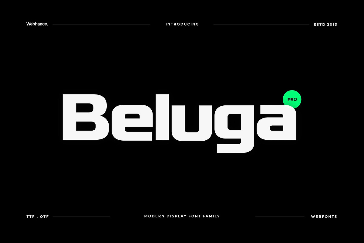 Beluga - Modern Sans-Serif Font fami, a Sans Serif Font by Webhance Studio (Photo 1 of 10)