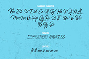 Marqhuis brush font, a Script Font by Qiwbrother Studio (Thumbnail 5 of 7)