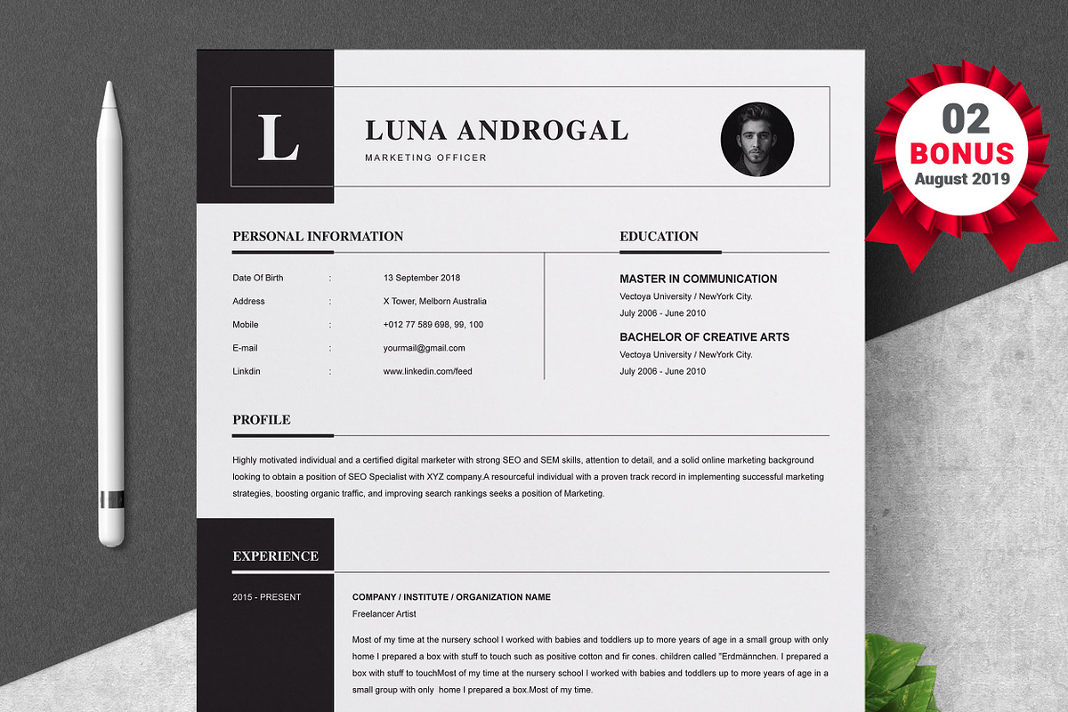 Resume/CV Bundle | 200+ for $29, a Resume Template by ResumeInventor (Photo 69 of 207)