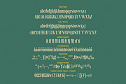 Chicago Darling Serif, a Serif Font by Gatype (Thumbnail 10 of 10)