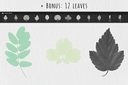 Photoshop Floral Stamp Brushes, a Brush Add-On by Art Sproot (Thumbnail 8 of 9)