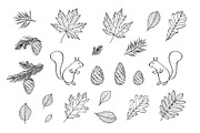 Hand drawn leaves of different trees, a Decorative Illustration by Tkoko vectors & patterns (Thumbnail 8 of 14)