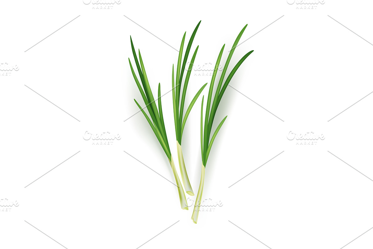 A vibrant bunch of green, an Object Illustration by Things for designers