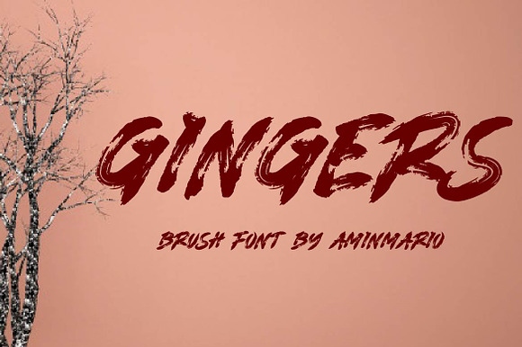 GINGERS preview 8