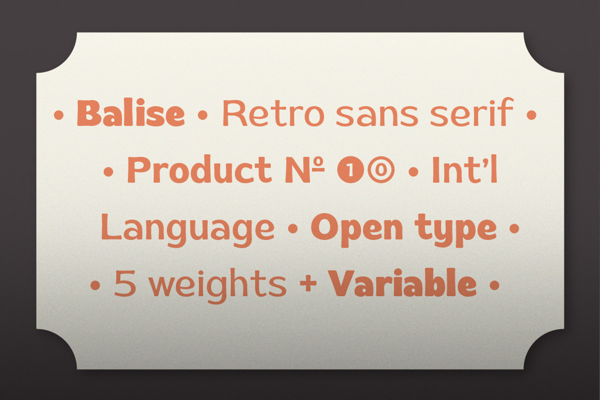 Balise - Retro Vintage Font Family, a Sans Serif Font by Namela Studio (Photo 2 of 9)