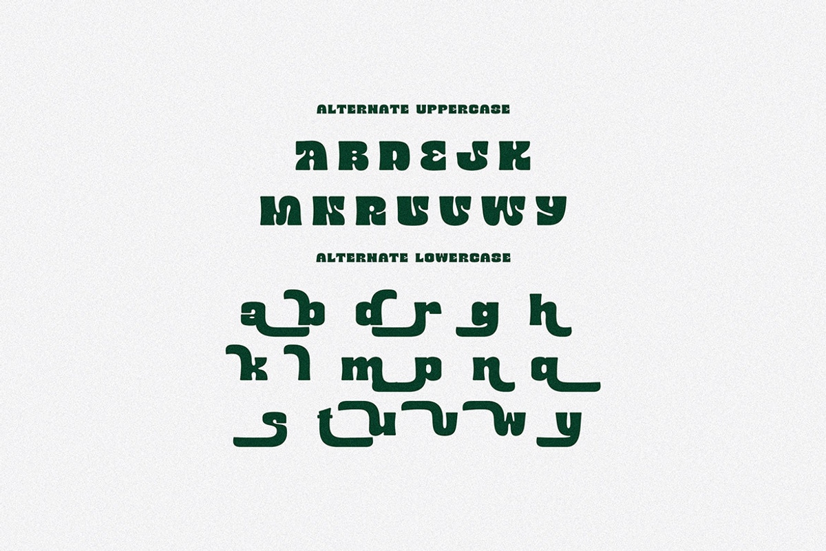Mibery Retro Bold Serif, a Serif Font by Cruzine (Photo 8 of 10)