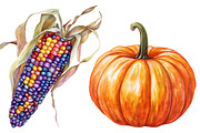 Watercolor Thanksgiving Harvest, a Seasonal Illustration by CitraGraphics (Thumbnail 6 of 7)