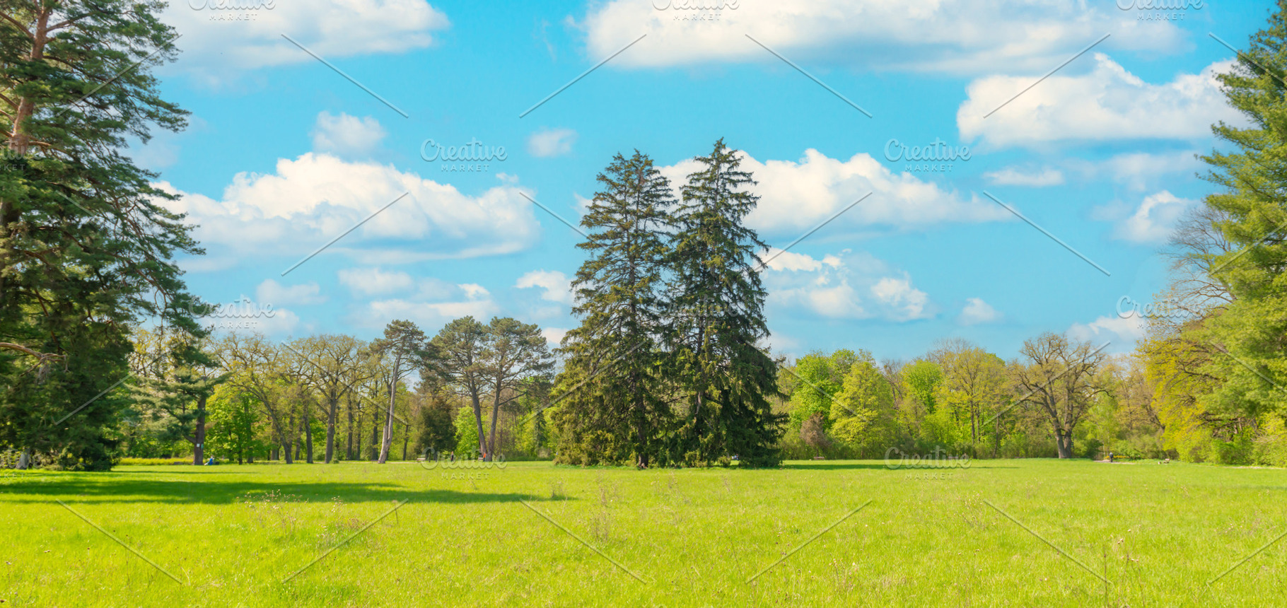 Green park forest panorama with green trees, a Nature Photo by Vapi