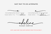Elegant Lady, a Script Font by Sronstudio (Thumbnail 10 of 13)