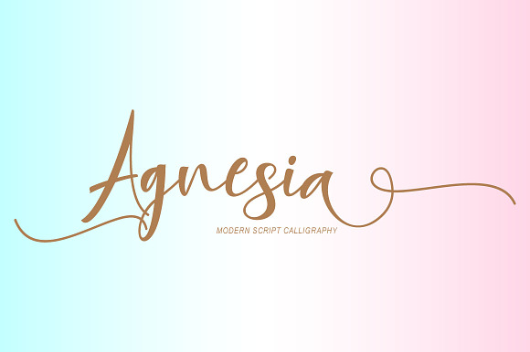 Agnesia Script preview 8