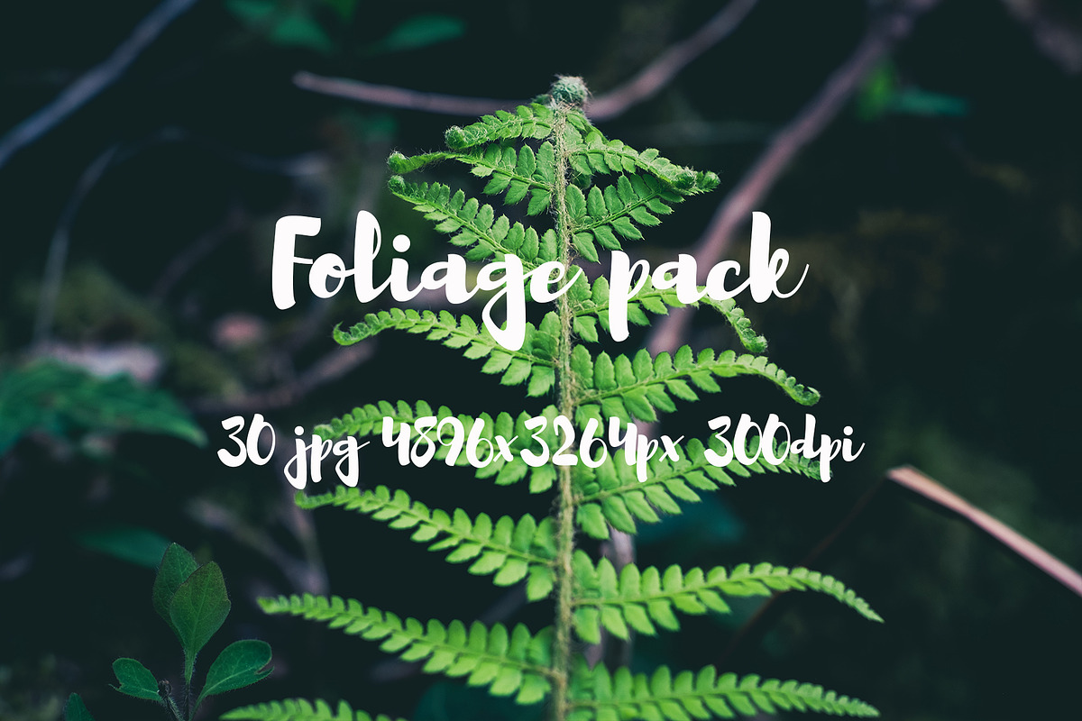 Foliage pack, a Templates & Theme by ApertureVintage (Photo 17 of 21)