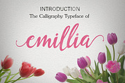 Calligraphy Big Bundle (95%off), a Script Font by groens (Thumbnail 26 of 46)