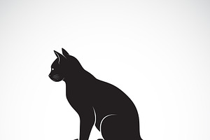 Vector Of Sitting Cat. Pet. Animals.