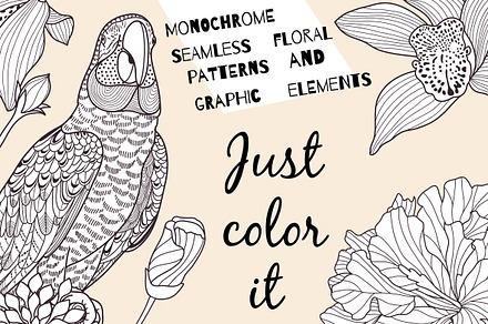 Uncolored beautiful graphics