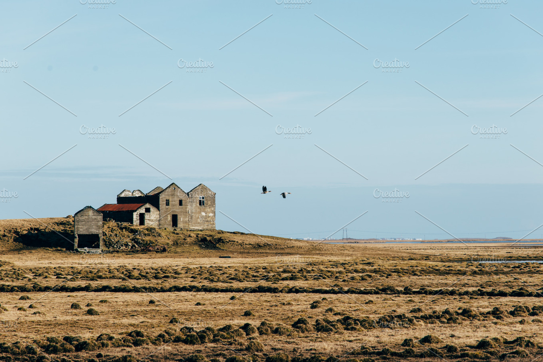 Abandoned Farm In Iceland In Spring
