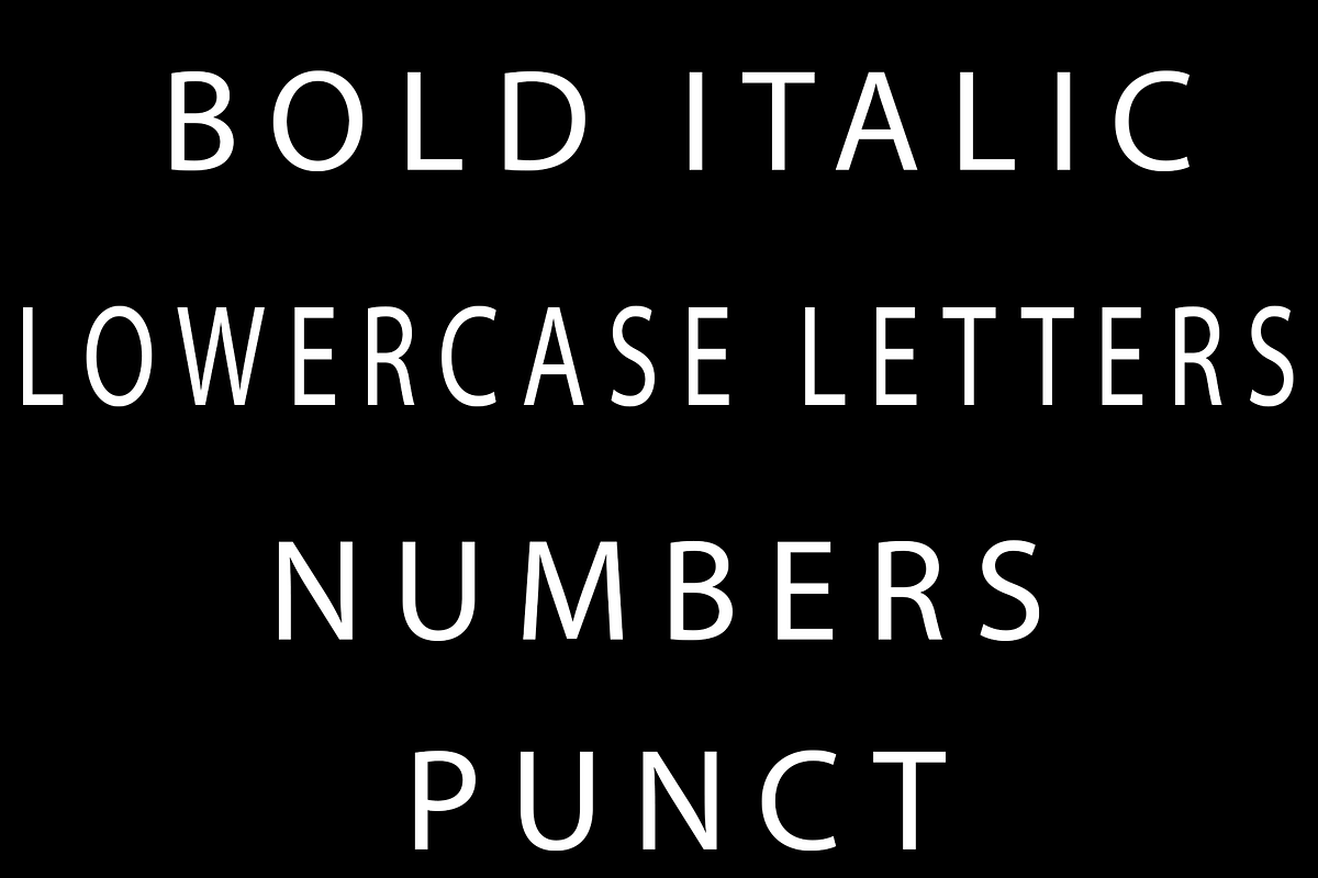 LINA, a Serif Font by Dz Akali (Photo 29 of 29)