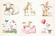 Watercolor Lamb & Ewe Love Clipart, an Illustration by Dream Creation (Thumbnail 4 of 6)