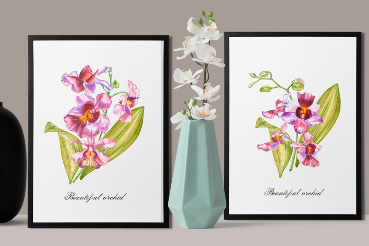 Orchids branch in botanical style, a Decorative Illustration by Ann Astro (Photo 11 of 15)