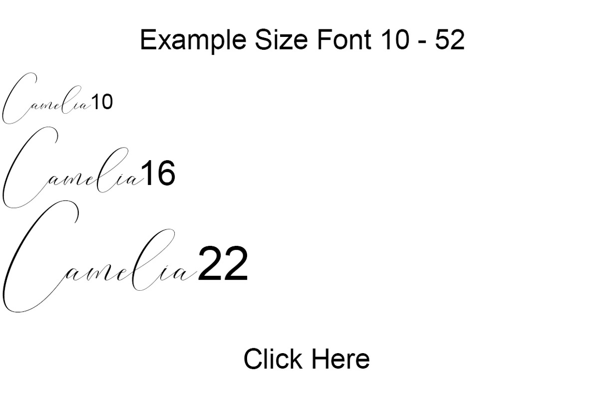 Washington Calligraphy Modern, a Script Font by Teweka (Photo 10 of 19)