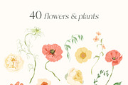 Wildflower garden retro flowers, a Decorative Illustration by Yuliya Derbisheva (Thumbnail 10 of 12)