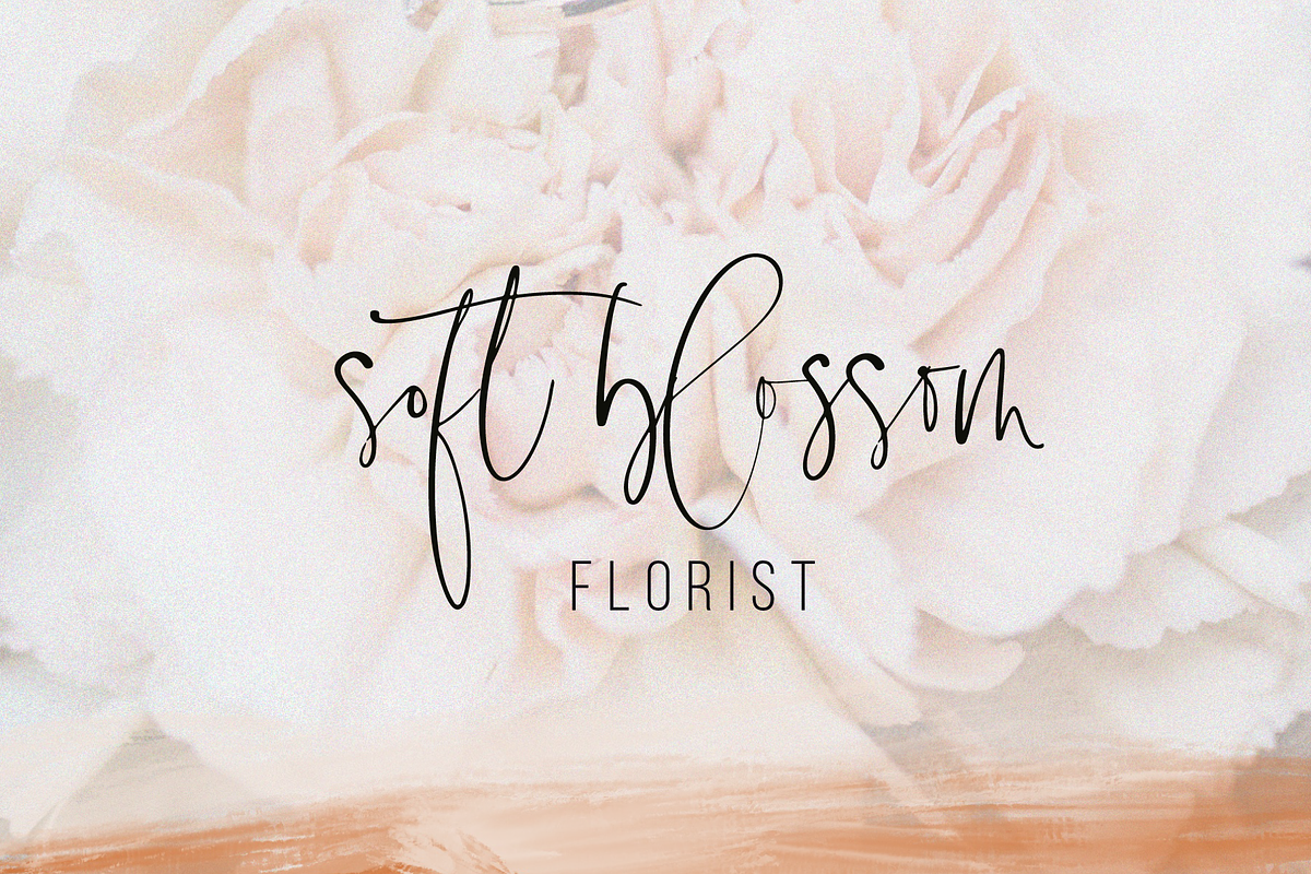 Lasiera Script Font | Blog style preview 2