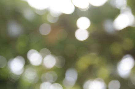 Green bokeh stock photo