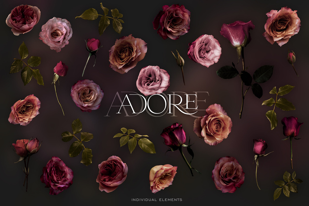 Adore Realistic Romantic Roses, an Object Graphic by Eclectic Anthology (Photo 8 of 11)