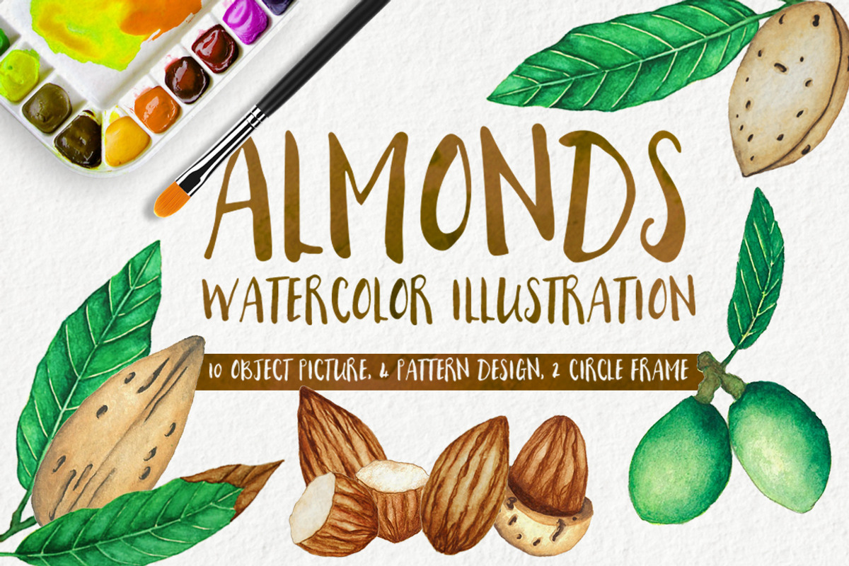 Almonds Watercolors Illustration, an Illustration by andypray (Photo 1 of 5)