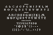 Werd - Modern Stylish Serif Font, a Serif Font by PutraCetol Studio (Thumbnail 10 of 13)
