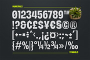 Neutralis Grotesk, a Sans Serif Font by Fargun Studio (Thumbnail 5 of 15)