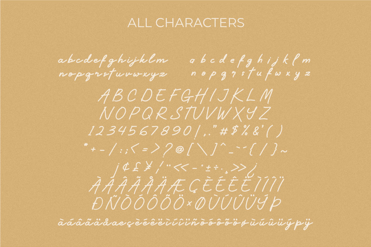 Santalina - Signature Monoline, a Script Font by TrimStudio (Photo 11 of 11)