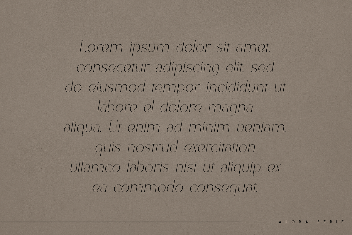 Alora - serif typeface | 4 fonts, a Serif Font by Only Fonts (Photo 7 of 10)