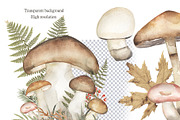 Watercolor Mushrooms Collection, an Education Illustration by MayaNavits (Thumbnail 7 of 14)