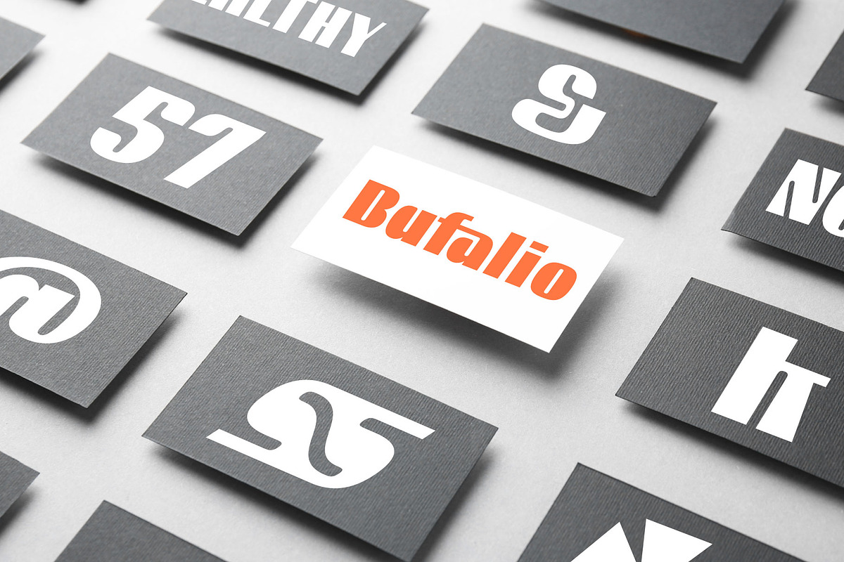 Bufalio Modern Bold Font, a Sans Serif Font by AuthenType (Photo 5 of 10)