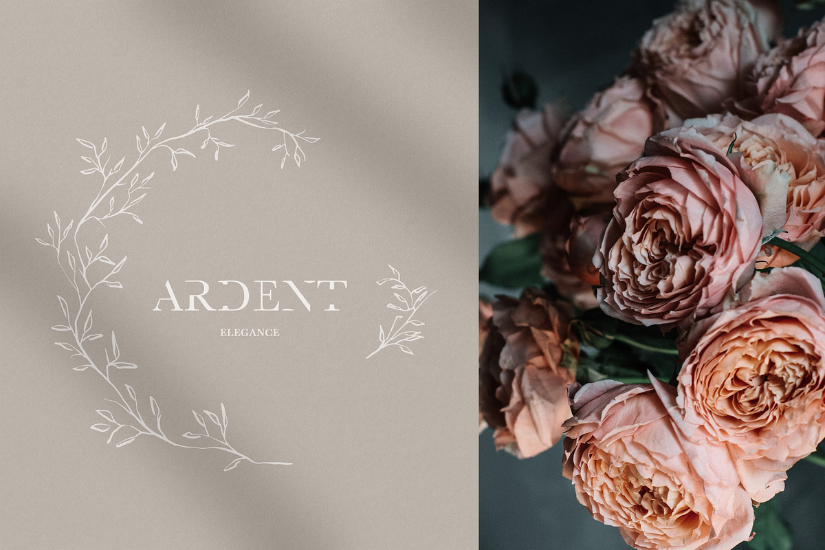 Ardent Elegance - Botanical Set, an Illustration by Backyard Rose