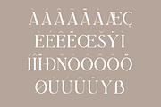 Bilargy Classic Serif Font, a Serif Font by Maryamtype Studio (Thumbnail 9 of 15)