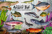 Amazon Fishing Watercolor, an Illustration by Graphobia (Thumbnail 11 of 11)