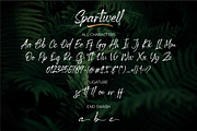 Spartwell |HANDWRITTEN BRUSH|, a Script Font by ErgibiStudio (Thumbnail 11 of 12)